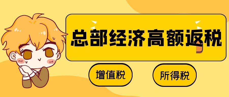 湖南國家級園區 國資控股 財政返還 即征即返！
